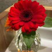 ヒメ日記 2025/08/08 19:26 投稿 青居加奈 五十路マダム 愛されたい熟女たち 高松店