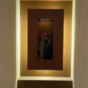 ヒメ日記 2025/08/09 09:48 投稿 青居加奈 五十路マダム 愛されたい熟女たち 高松店