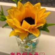 ヒメ日記 2025/09/26 07:46 投稿 青居加奈 五十路マダム 愛されたい熟女たち 高松店