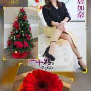 ヒメ日記 2025/11/08 16:34 投稿 青居加奈 五十路マダム 愛されたい熟女たち 高松店