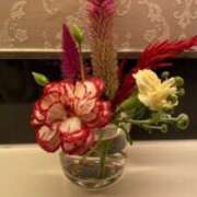 ヒメ日記 2025/11/11 11:08 投稿 青居加奈 五十路マダム 愛されたい熟女たち 高松店