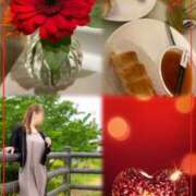 ヒメ日記 2025/11/14 14:16 投稿 青居加奈 五十路マダム 愛されたい熟女たち 高松店