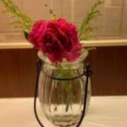 ヒメ日記 2025/11/19 10:14 投稿 青居加奈 五十路マダム 愛されたい熟女たち 高松店