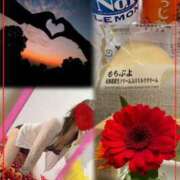 ヒメ日記 2025/11/22 13:42 投稿 青居加奈 五十路マダム 愛されたい熟女たち 高松店