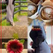 ヒメ日記 2026/01/17 15:24 投稿 青居加奈 五十路マダム 愛されたい熟女たち 高松店