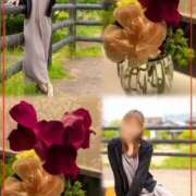 ヒメ日記 2026/01/17 18:52 投稿 青居加奈 五十路マダム 愛されたい熟女たち 高松店