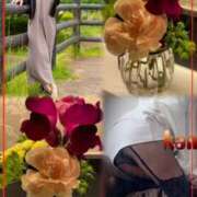 ヒメ日記 2026/01/23 15:56 投稿 青居加奈 五十路マダム 愛されたい熟女たち 高松店