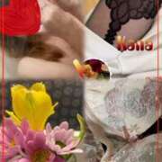 ヒメ日記 2026/01/29 14:02 投稿 青居加奈 五十路マダム 愛されたい熟女たち 高松店