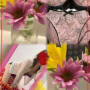 ヒメ日記 2026/01/29 18:34 投稿 青居加奈 五十路マダム 愛されたい熟女たち 高松店