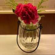 ヒメ日記 2026/02/11 07:30 投稿 青居加奈 五十路マダム 愛されたい熟女たち 高松店