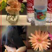 ヒメ日記 2026/02/25 16:20 投稿 青居加奈 五十路マダム 愛されたい熟女たち 高松店