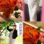 ヒメ日記 2026/03/06 21:50 投稿 青居加奈 五十路マダム 愛されたい熟女たち 高松店