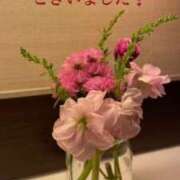 ヒメ日記 2026/03/08 20:56 投稿 青居加奈 五十路マダム 愛されたい熟女たち 高松店