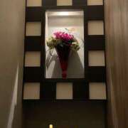 ヒメ日記 2026/03/10 19:30 投稿 青居加奈 五十路マダム 愛されたい熟女たち 高松店