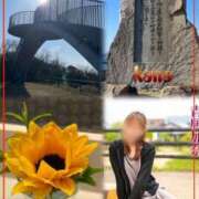 ヒメ日記 2026/03/16 21:04 投稿 青居加奈 五十路マダム 愛されたい熟女たち 高松店