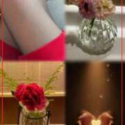 ヒメ日記 2026/04/04 20:20 投稿 青居加奈 五十路マダム 愛されたい熟女たち 高松店