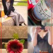 ヒメ日記 2026/04/18 14:44 投稿 青居加奈 五十路マダム 愛されたい熟女たち 高松店