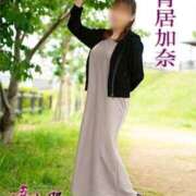 ヒメ日記 2026/04/26 19:54 投稿 青居加奈 五十路マダム 愛されたい熟女たち 高松店
