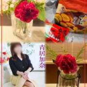 ヒメ日記 2026/05/01 15:50 投稿 青居加奈 五十路マダム 愛されたい熟女たち 高松店