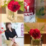 ヒメ日記 2026/05/01 16:00 投稿 青居加奈 五十路マダム 愛されたい熟女たち 高松店