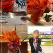 ヒメ日記 2026/05/09 17:00 投稿 青居加奈 五十路マダム 愛されたい熟女たち 高松店