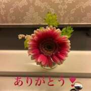 ヒメ日記 2026/08/17 19:40 投稿 青居加奈 五十路マダム 愛されたい熟女たち 高松店