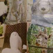 ヒメ日記 2025/05/31 21:10 投稿 みな ハロウィン