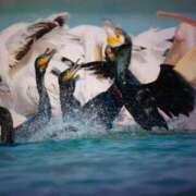 ヒメ日記 2025/09/30 20:32 投稿 みな ハロウィン