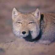 ヒメ日記 2026/03/02 23:18 投稿 みな ハロウィン