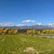 ヒメ日記 2025/11/19 07:42 投稿 安井 熟女妻