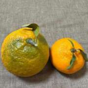 安井 ありがとう。💕安井。❤️ 熟女妻