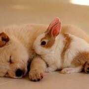 ヒメ日記 2025/06/08 23:25 投稿 なな バニラシュガー久喜店