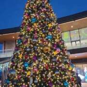 ヒメ日記 2025/12/20 19:35 投稿 なな バニラシュガー久喜店