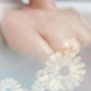 ヒメ日記 2025/03/01 23:18 投稿 りく Lady Agent