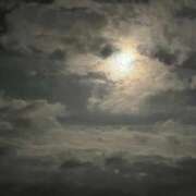 ヒメ日記 2025/07/12 12:19 投稿 りく Lady Agent