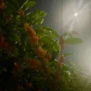 ヒメ日記 2025/11/08 23:26 投稿 りく Lady Agent