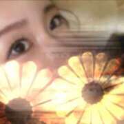 ヒメ日記 2025/11/18 15:15 投稿 りく Lady Agent