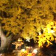 ヒメ日記 2025/11/25 22:32 投稿 りく Lady Agent