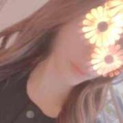 ヒメ日記 2026/04/06 00:34 投稿 りく Lady Agent