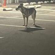 ヒメ日記 2026/07/12 23:53 投稿 りく Lady Agent