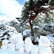 ヒメ日記 2026/02/10 11:11 投稿 みき 千葉人妻セレブリティ（ユメオト）