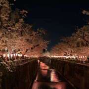 ヒメ日記 2026/04/09 15:56 投稿 みき 千葉人妻セレブリティ（ユメオト）