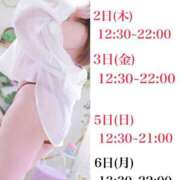 ヒメ日記 2024/12/31 10:19 投稿 せり 池袋ぱんぷきん（シンデレラグループ）