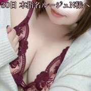 ヒメ日記 2024/12/31 18:05 投稿 せり 池袋ぱんぷきん（シンデレラグループ）