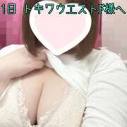 ヒメ日記 2025/03/03 13:26 投稿 せり 池袋ぱんぷきん（シンデレラグループ）