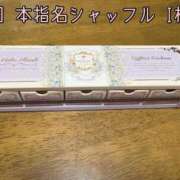 ヒメ日記 2025/03/16 19:02 投稿 せり 池袋ぱんぷきん（シンデレラグループ）