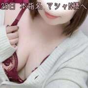 ヒメ日記 2025/05/01 17:06 投稿 せり 池袋ぱんぷきん（シンデレラグループ）