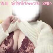 ヒメ日記 2025/11/18 09:07 投稿 せり 池袋ぱんぷきん（シンデレラグループ）