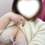 ヒメ日記 2026/02/19 00:09 投稿 せり 池袋ぱんぷきん（シンデレラグループ）