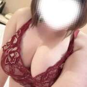 ヒメ日記 2026/02/21 12:19 投稿 せり 池袋ぱんぷきん（シンデレラグループ）